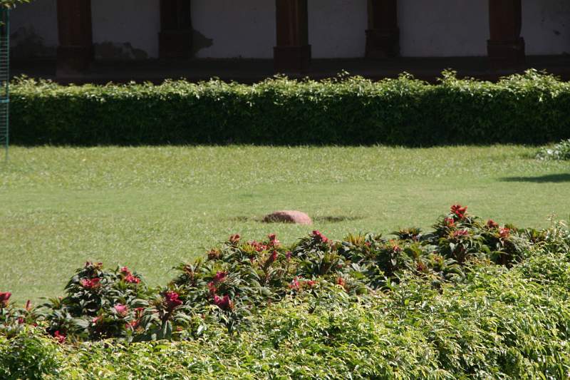 India & Nepal 2011 - 1293